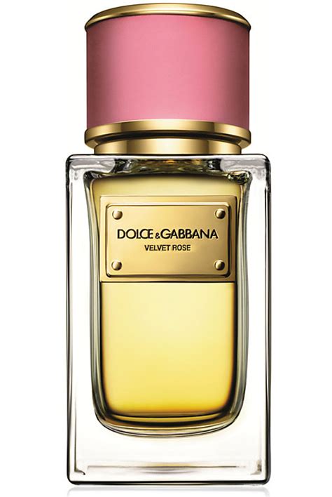 perfume dolce dolce gabbana feminino|dolce and gabbana unisex fragrance.